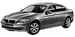 BMW F10 P017C Fault Code